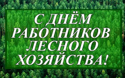 Уважаемые работники лесного комплекса! | 20.09.2021 | Новости Тулуна -  БезФормата