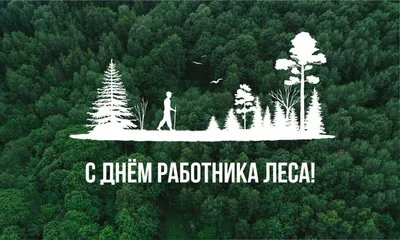 17 сентября 2017 года - День работников леса | Общество лесоводов