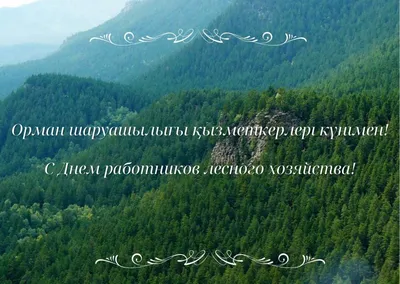 С Днем работников лесного хозяйства! | 18.09.2023 | Новости Тулуна -  БезФормата