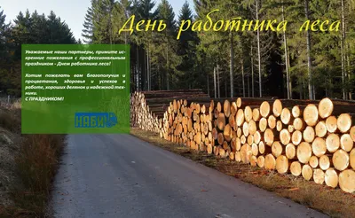 День работников леса и лесоперерабатывающей промышленности | 15.09.2022 |  Междуреченский - БезФормата