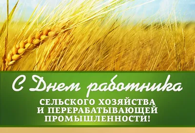 День работника сельского хозяйства и перерабатывающей промышленности в РФ -  Газета \"Земля\"