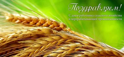Поздравляем с Днем работника сельского хозяйства и перерабатывающей  промышленности! - ЕВРОСНАБ АГРО — Оптовый Агроцентр в Нижнем Новгороде
