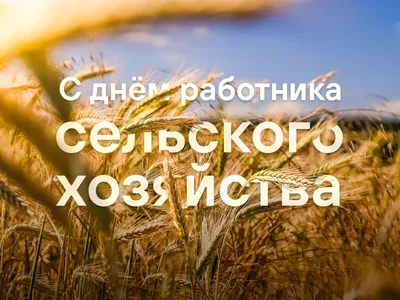 Новость от 13.11.2020 – С Днем работников сельского хозяйства и перерабатывающей  промышленности агропромышленного комплекса Республики Беларусь |  ГОМЕЛЬГОСПЛЕМПРЕДПРИЯТИЕ