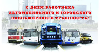 Поздравление главы Администрации района с Днем работников автомобильного  транспорта | Газета Рассвет