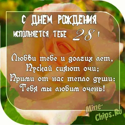 Это мой день рождения 28 карантинов празднования дня рождения 28 лет со дня  рождения дизайна 28th на карантине Иллюстрация вектора - иллюстрации  насчитывающей вирус, предохранение: 207713461