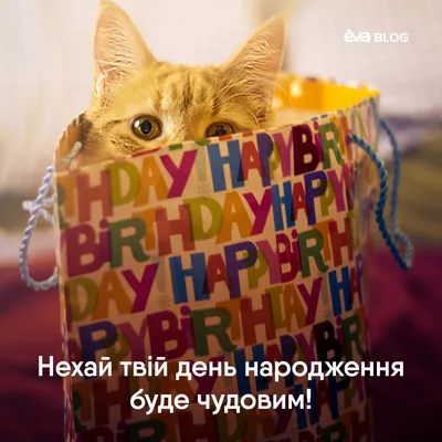 С ДНЕМ РОЖДЕНИЯ ПОЗДРАВЛЯЕМ ВСЕХ, КТО РОДИЛСЯ 29 ФЕВРАЛЯ!!! | OK.RU