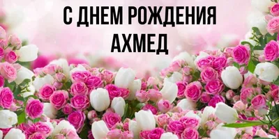 Поздравляем с Днём рождения Ахмедова Ахмеда