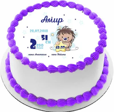 🎉С днем рождения, Амир Мурадов! @amir_muradow Друзья, сегодня, 12 декабря,  свой день рождения отмечает владелец промоутерской компании… | Instagram