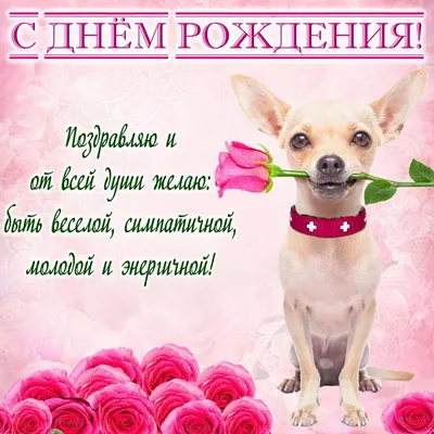 Открытка с именем Ангелиночка С днем рождения happy birthday. Открытки на  каждый день с именами и пожеланиями.