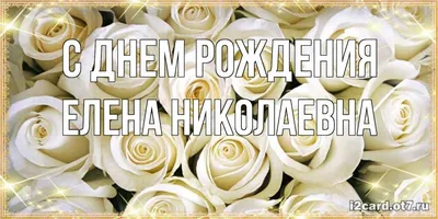 С Днем Рождения, Елена Николаевна! • БИПКРО