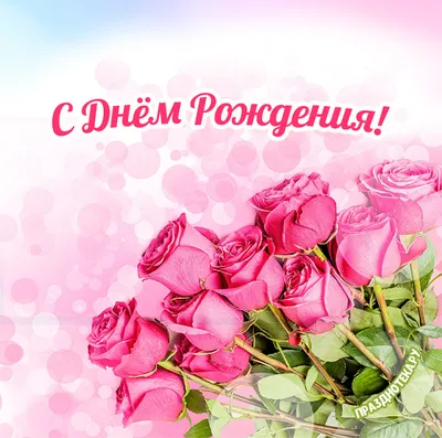 🎇🍾 #рекомендации #рек #заводиElantra #школа #учитель #деньрождения |  TikTok