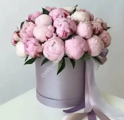 Купить розовую пионовидную розу Киев | Цветы в коробке