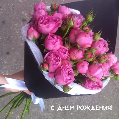 Ларисочка, С Днём Рождения!!! - 57 ответов - Форум Леди Mail.ru