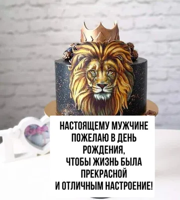 С ДНЁМ РОЖДЕНИЯ, НАШ ЦАРЬ!🦁❤️ Сегодня лев Бонифаций отмечает свой день  рождения! Ему исполнилось 11 лет!🎉🎂. Вместо вкусного тортика, мы пр… |  Instagram