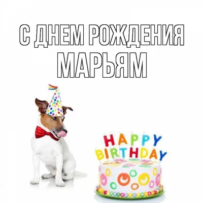 Марьям 1 годик❤️!!! Дети наше счастье, богатство и любовь!!! Поздравляю  свою сестренку @tamilla_ с днём рождения нашей принцессы! Праздник… |  Instagram