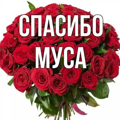 С днем рождения, Муса Евлоев!