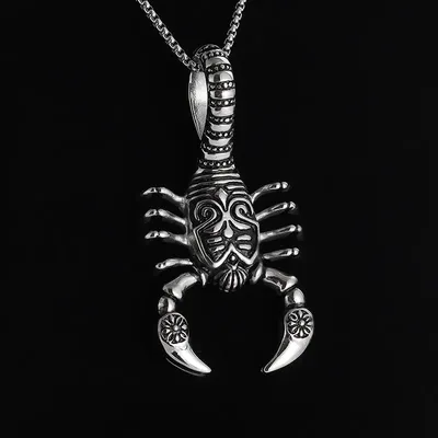 Властная Мода огромный скорпион кулон ожерелье для мужчин женщин подарки на  день рождения хип-хоп Уличная фотография ювелирные изделия | AliExpress