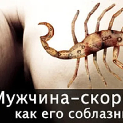 Браслеты со скорпионом - Интернет магазин браслетов CosplaYcitY.ru