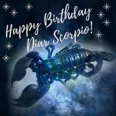 Поздравления с днём рождения женщине скорпиону - 69 фото