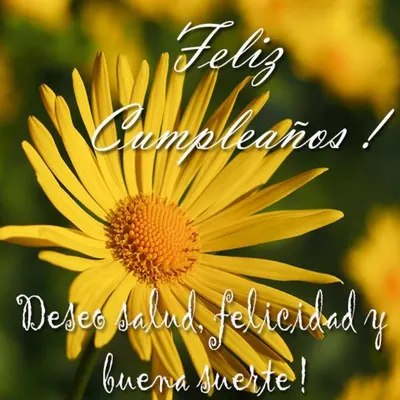 Поздравления с днем рождения на испанском языке - блог школы Divelang