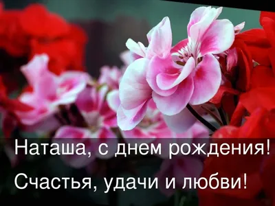 Пин от пользователя Светлана А на доске мои открытки в 2023 г | Семейные  дни рождения, Пожелания для открыток, Праздничные цитаты