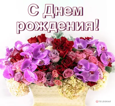 Праздничная, прикольная, женственная открытка с днём рождения племяннице  племяннице - С любовью, Mine-Chips.ru