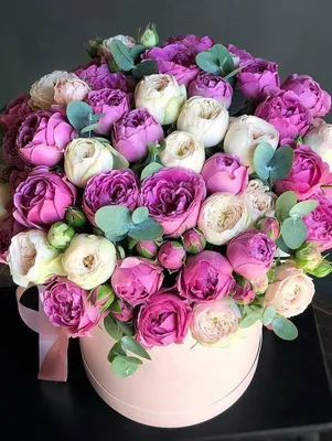 Кустовые розы в коробке Парижанка (La Parisienne) | доставка по Москве и  области