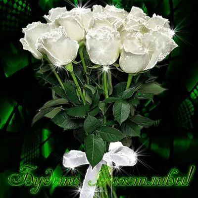 Белые розы для любимой - 69 фото