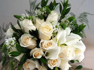 Открытки с белыми розами - 69 фото