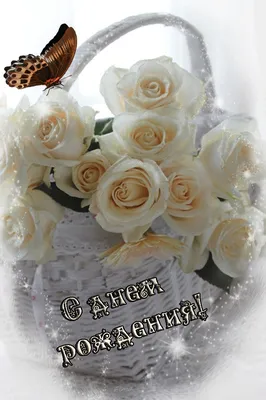 Открытки с днем рождения белые розы - 44 фото