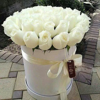 Открытки с белыми розами открытка прекрасному человеку с букетом бе...