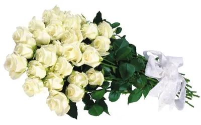 С днем рождения женщине белые розы - 79 фото