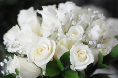 Корзина с белыми розами на день рождения (20 лучших фото)
