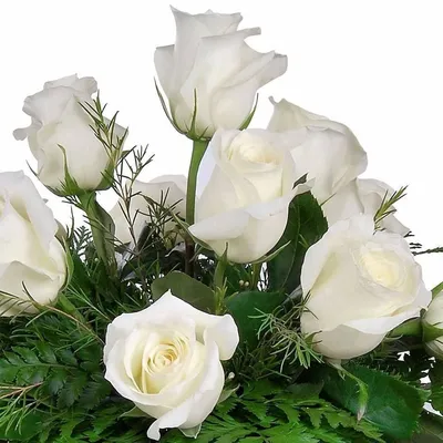 С днём рождения, мама! Открытки с розами! Розы красные, белые, синие,  голубые! Милая мамочка! Поздравляю тебя от всей души с... | Страница 4