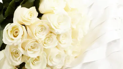 Букет из 29 белых роз (50 см) - Арт. 834