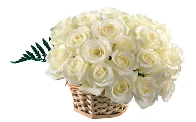Заказать с днем рождения букет белых роз FL-04 купить - хорошая цена на с  днем рождения букет белых роз с доставкой - FLORAN.com.ua
