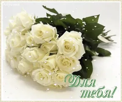 Красивый букет белых роз (78 фото) »