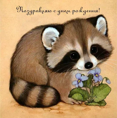 Купить открытка С Днем Рождения ручная работа, енот, цены в Москве на  Мегамаркет | Артикул: 100032033744