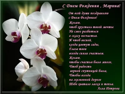 С днем рождения, Марина Алексеевна!