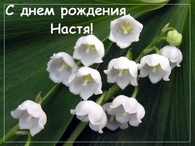 Открытки и картинки с Днем рождения Анастасия, Настя