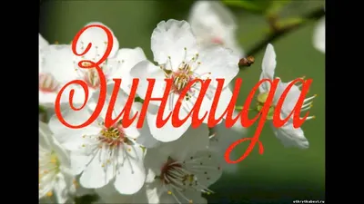 С днем рождения дина картинки красивые с пожеланиями (48 фото) » Красивые  картинки, поздравления и пожелания - Lubok.club