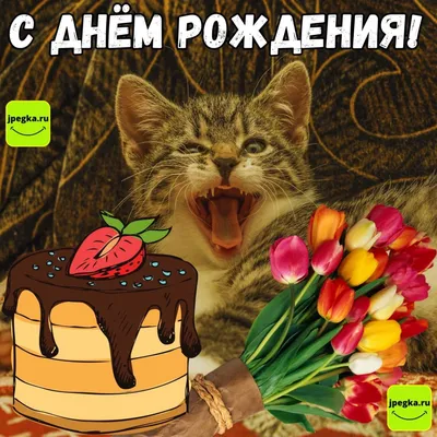 Открытки с Днём Рождения с котом: 58 картинок