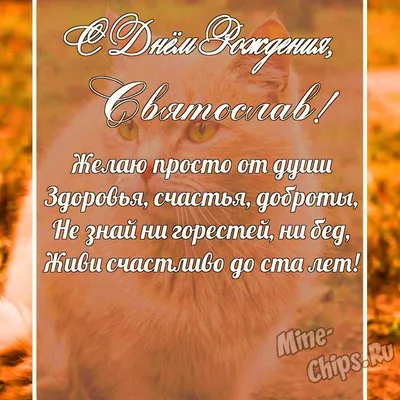 Праздничная, мужская открытка с днём рождения Святослава - С любовью,  Mine-Chips.ru