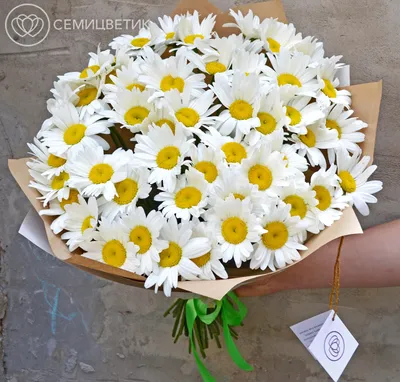 Букет цветов ромашек полевых купить с доставкой по Томску: цена, фото,  отзывы.