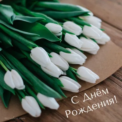 открытка с тюльпанами с днем рождения | С днем рождения, Цветы на рождение,  Открытки
