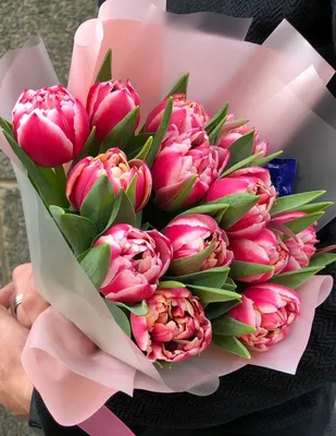 51 белый тюльпан в букете на День Студента за 10 490 руб. | Бесплатная  доставка цветов по Москве