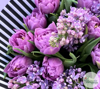 201 нежный тюльпан в коробке за 36 990 руб. | Бесплатная доставка цветов по  Москве