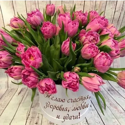 Тюльпан 💐 картинка, артикул F1221838 - 8500 рублей, доставка по городу.  Flawery - доставка цветов в Москве