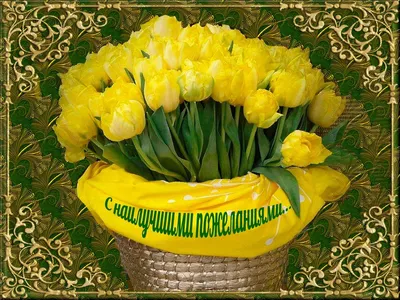 ✿ Букет из 101 белого тюльпана ✿- купить с доставкой ❤