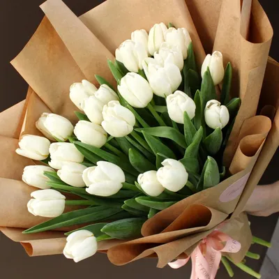 Шикарный букет тюльпанов 'Поздравляю! ' - Чехов-Цветы.РФ
